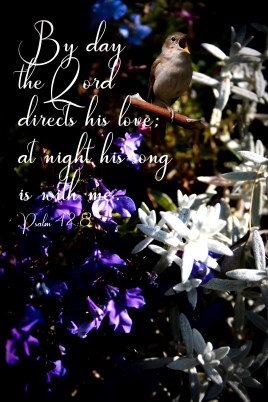 Psalm 42-8 Nightingale-2