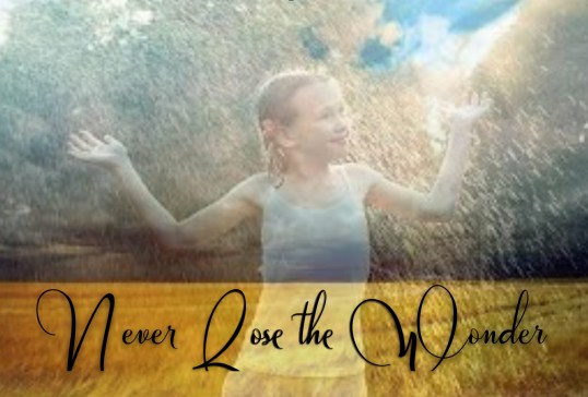 Never Lose the wonder