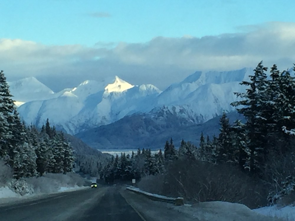 2015-12-07 13.11.20-1 copy